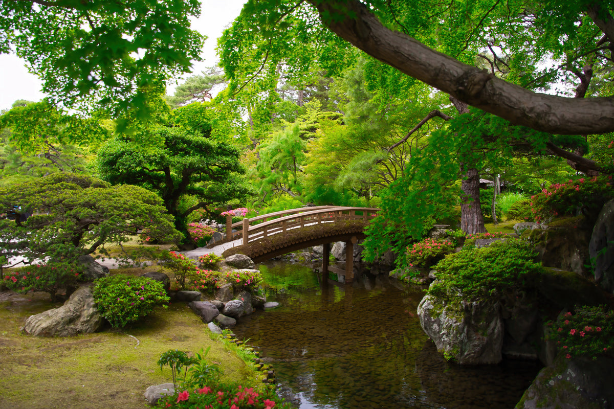 Bridge in Kyoto park